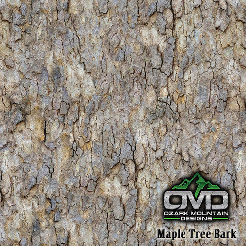 Maple Tree Bark