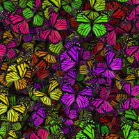 Colorful Butterflies