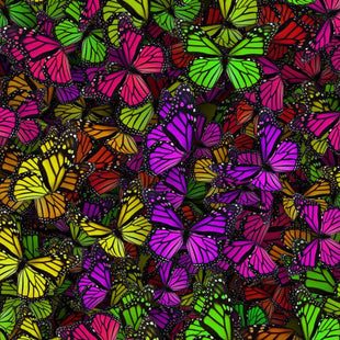 Colorful Butterflies