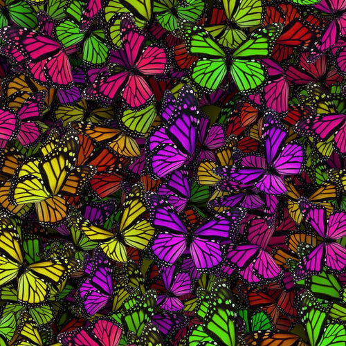 Colorful Butterflies