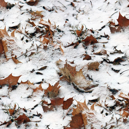 Snowy Ground Camo