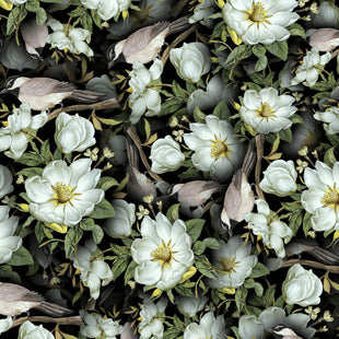 Songbird Flowers