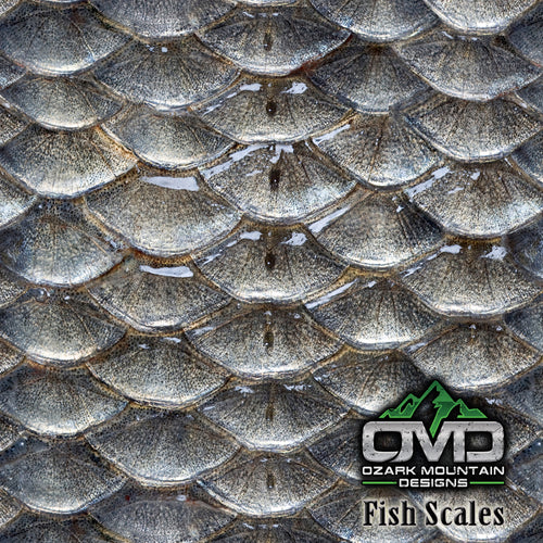 Fish Scales