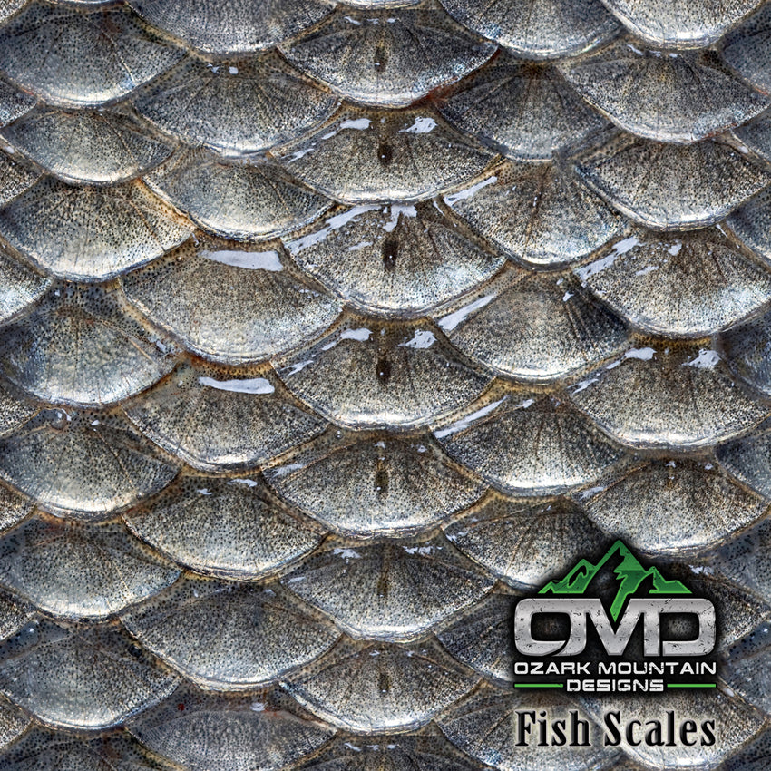 Fish Scales