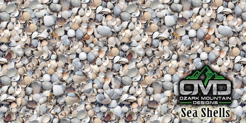 Sea Shells