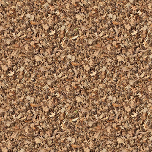 Brown Ground Leaves