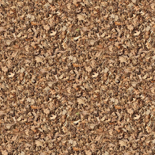 Brown Ground Leaves