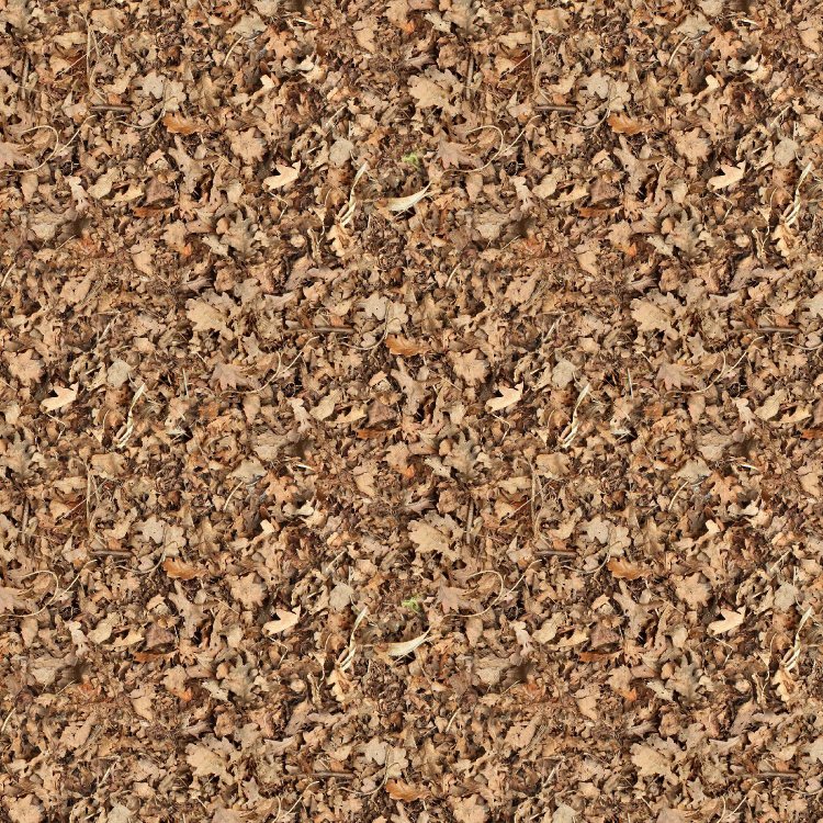 Brown Ground Leaves