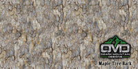 Maple Tree Bark