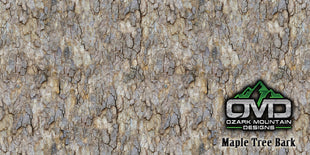 Maple Tree Bark