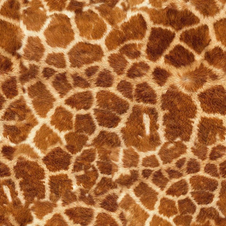 Giraffe Fur Pelt
