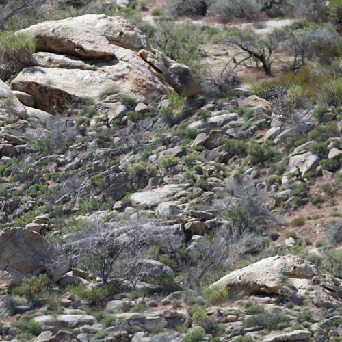 Colorado Canyon Camo