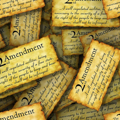 Second Amendment Constitution