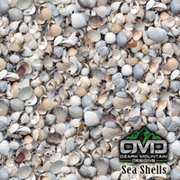Sea Shells