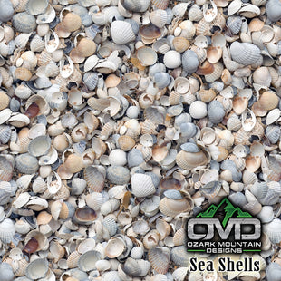 Sea Shells