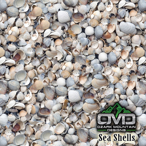 Sea Shells