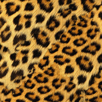Leopard Fur Pelt