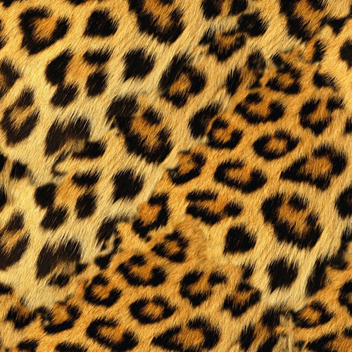 Leopard Fur Pelt