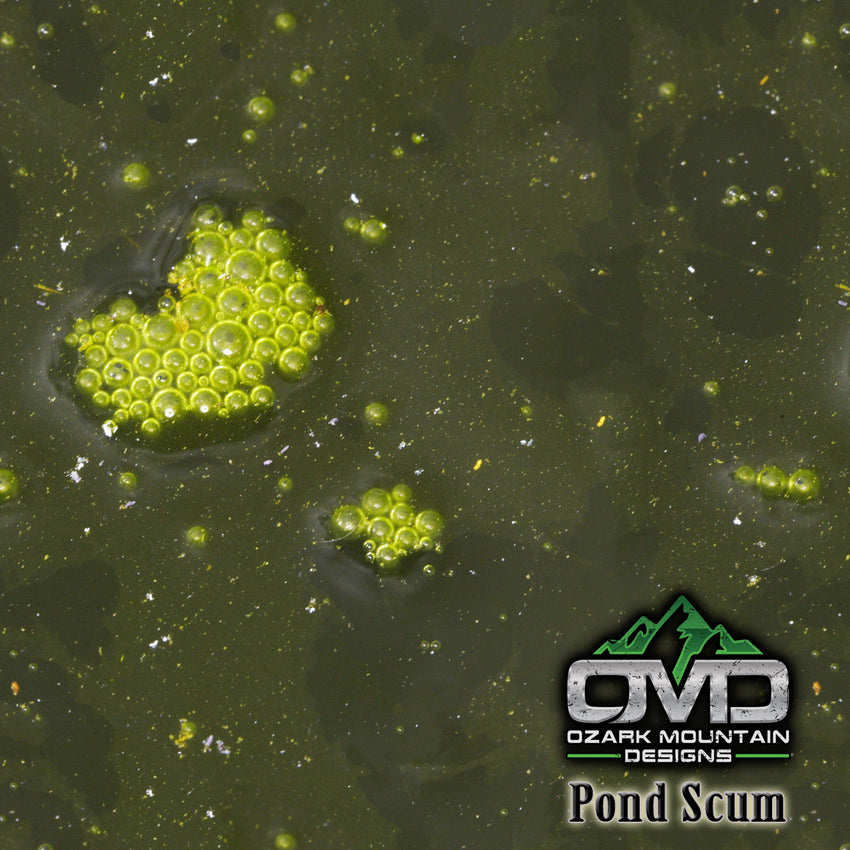 Pond Scum
