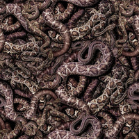 Snake Pit Nest