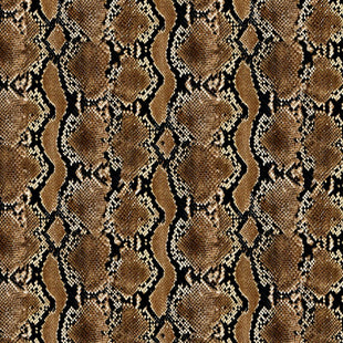Brown Snake Skin