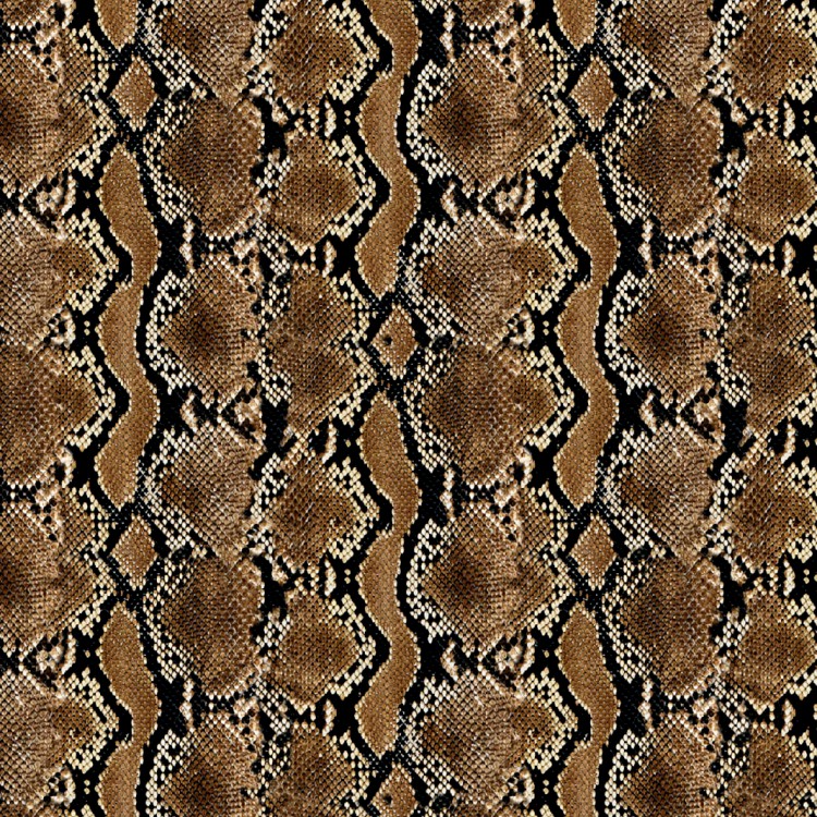 Brown Snake Skin