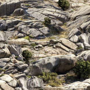 Rugged Rocky Camo