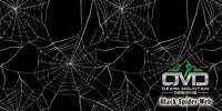 Black Spider Web