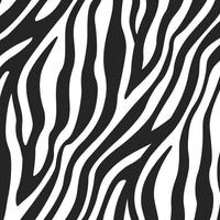 Zebra Stripes