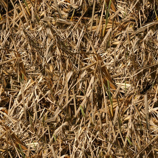 Grassland Camo