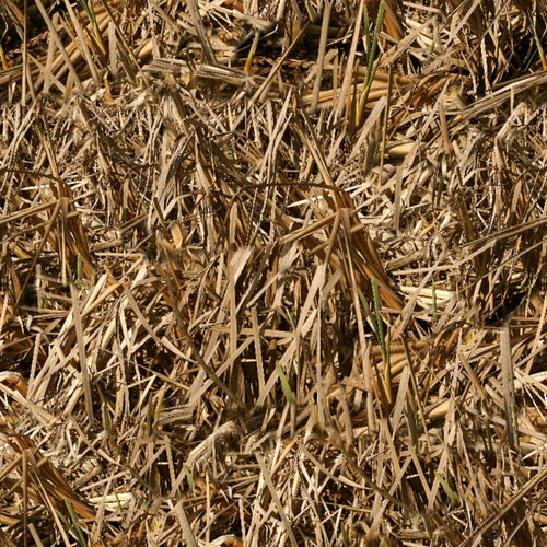 Grassland Camo