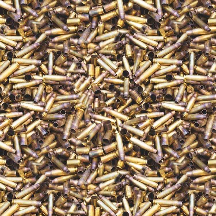 Spent Ammo Shells