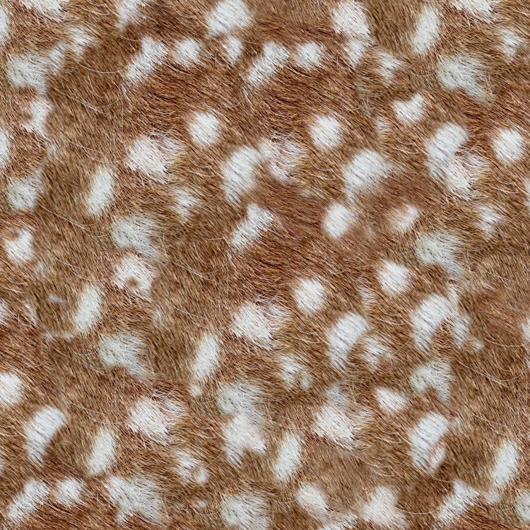 Deer Fawn Fur