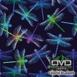 Colorful Dragonfly