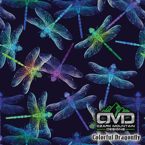 Colorful Dragonfly