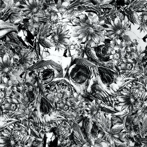 Secret Flower Skulls
